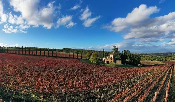 Relais Grazianella | Esperienze * Acquaviva (Montepulciano)